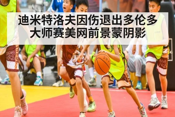 迪米特洛夫因伤退出多伦多大师赛美网前景蒙阴影
